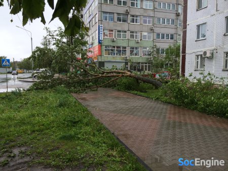Фотографии города Южно-Сахалинск после прохождения циклона (урагана) 13.06.2014